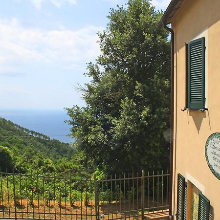 I Lecci Di Soviore Monterosso al Mare Exterior photo